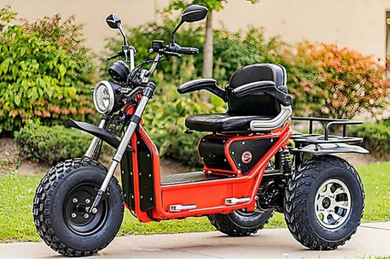 Medicaid Health Insurance Quotes With 100 Mobility Scooter Coverage in